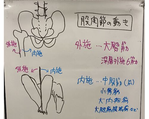 IMG-2626